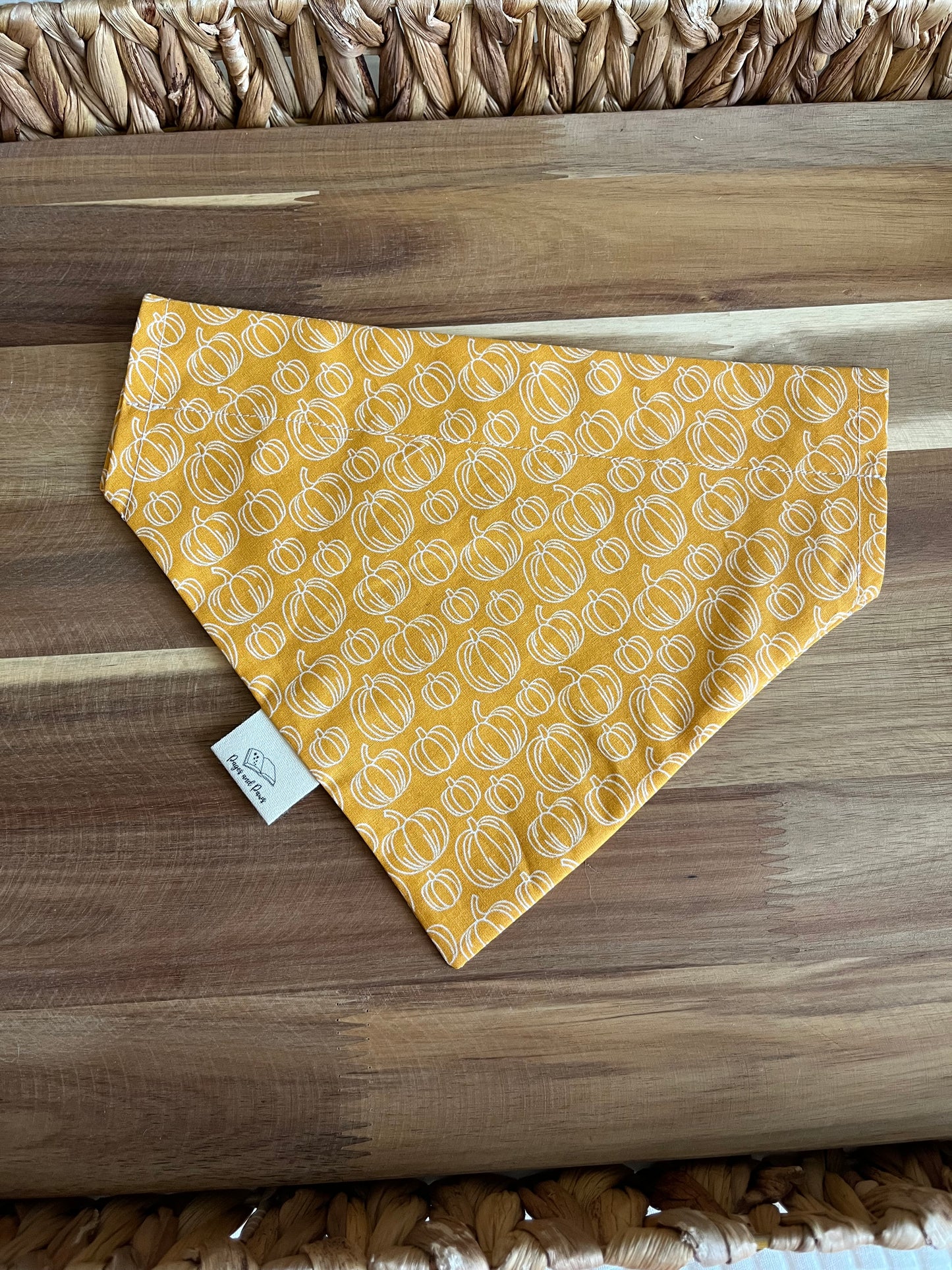 Light Orange Pumpkins Over the Collar Pet Bandana
