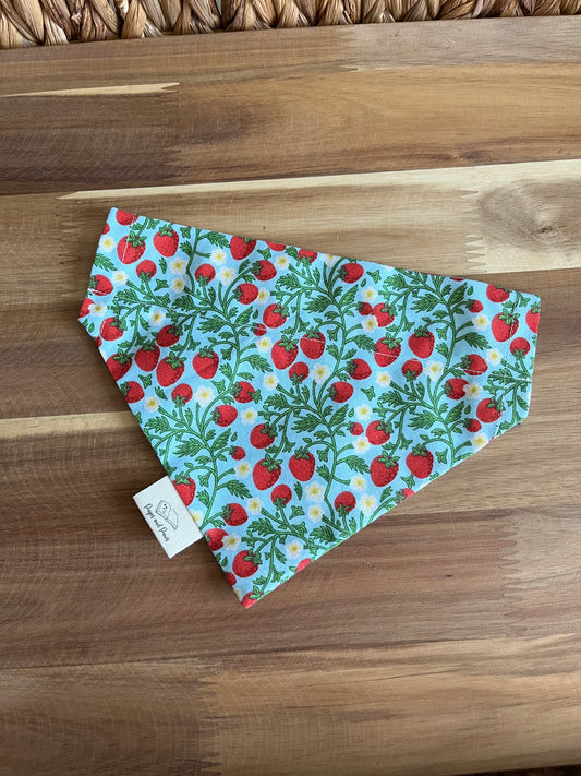 Strawberry Vines on Pink Over the Collar Pet Bandana