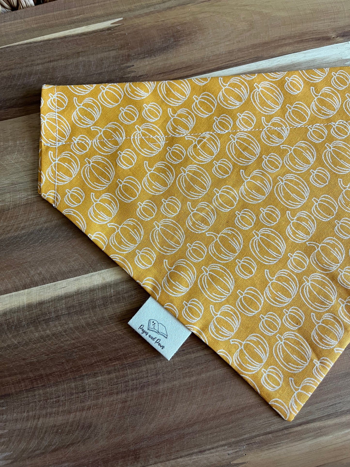 Light Orange Pumpkins Over the Collar Pet Bandana