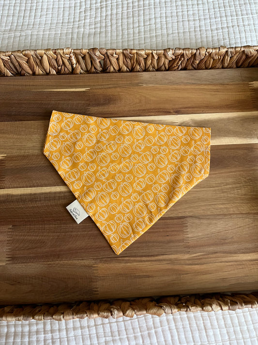 Light Orange Pumpkins Over the Collar Pet Bandana