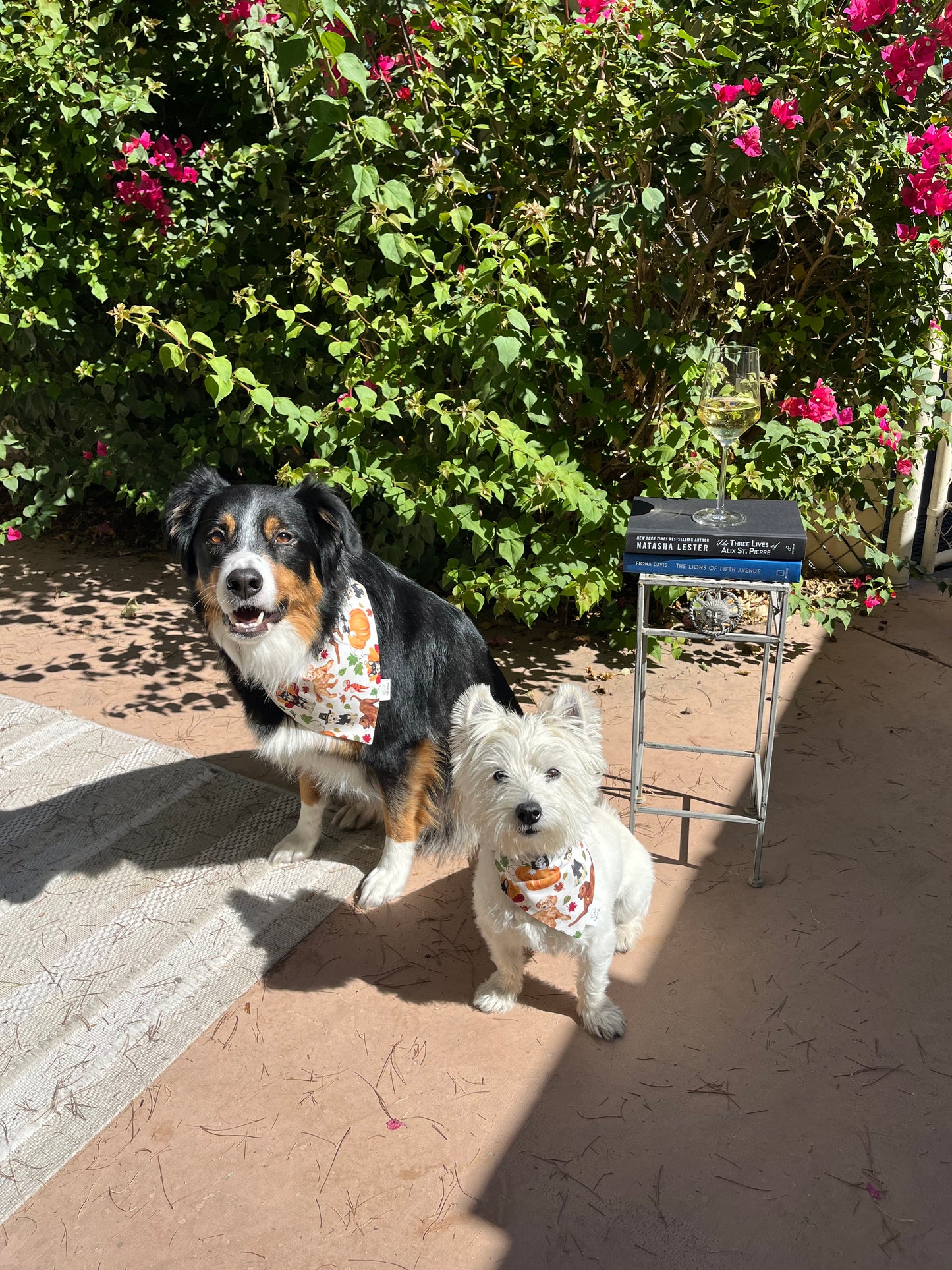Thankful for Doggos Over the Collar Pet Bandana