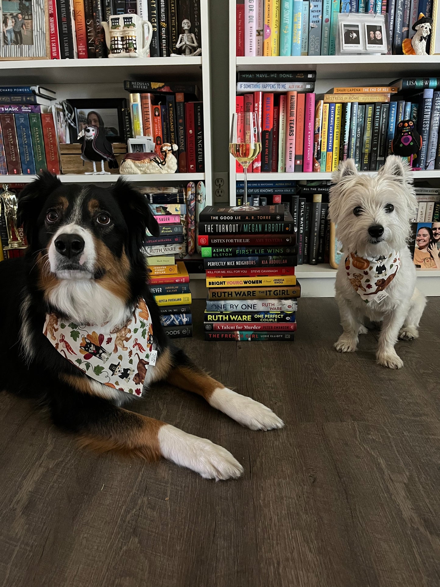 Thankful for Doggos Over the Collar Pet Bandana