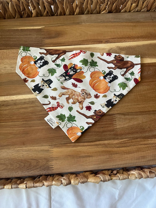 Thankful for Doggos Over the Collar Pet Bandana
