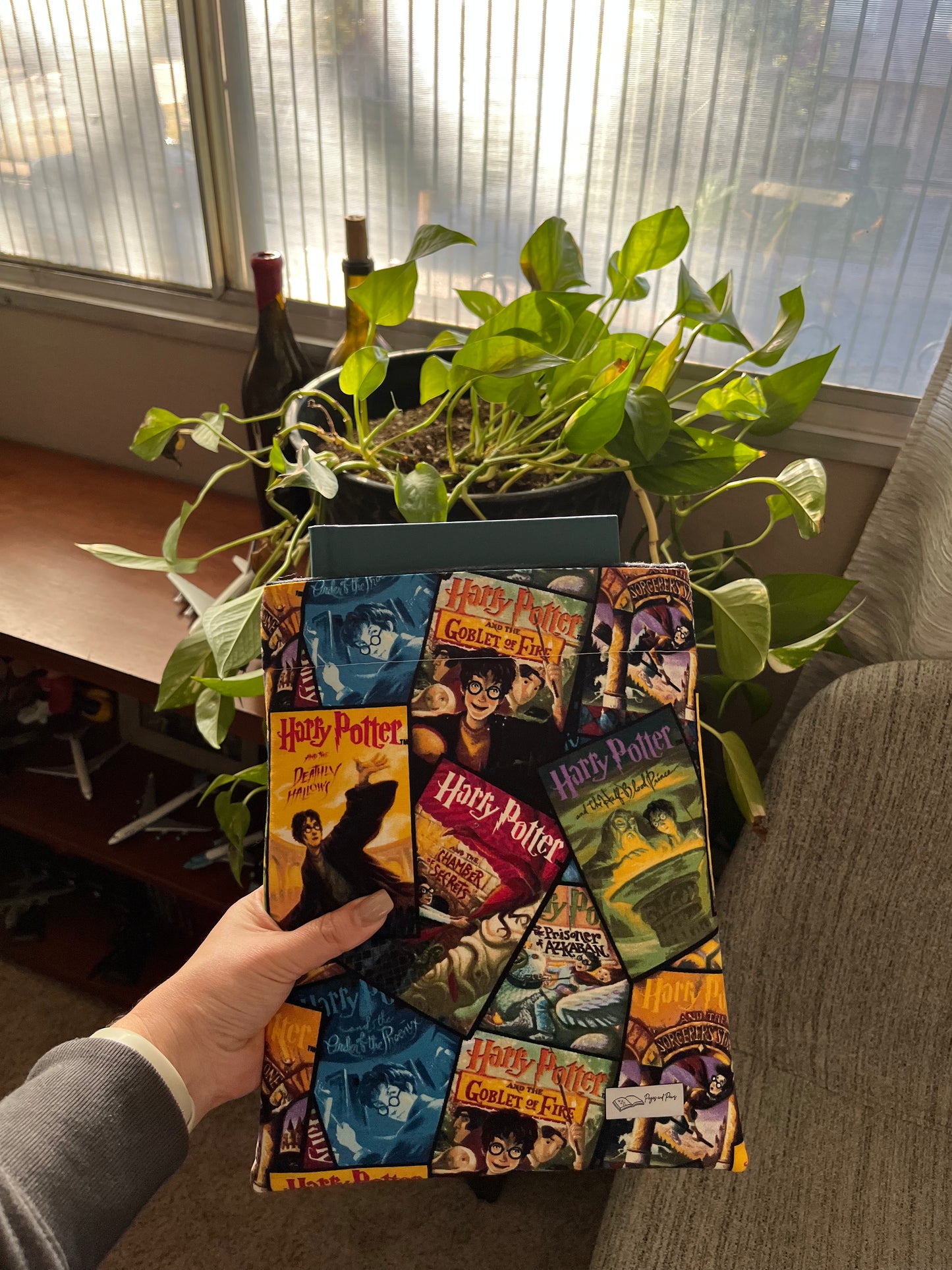 The Boy That Lived Book Sleeve