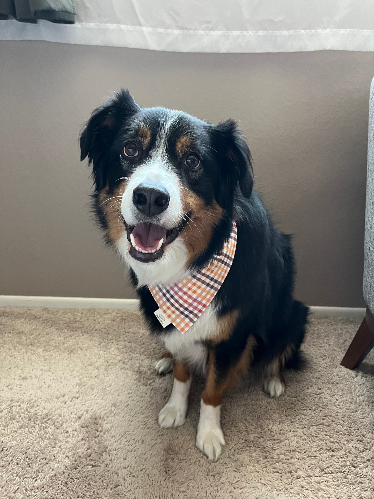 Fall Plaid Over the Collar Pet Bandana