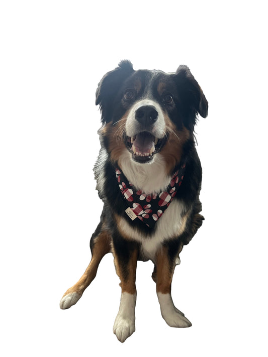 Checkered Paws Over the Collar Pet Bandana