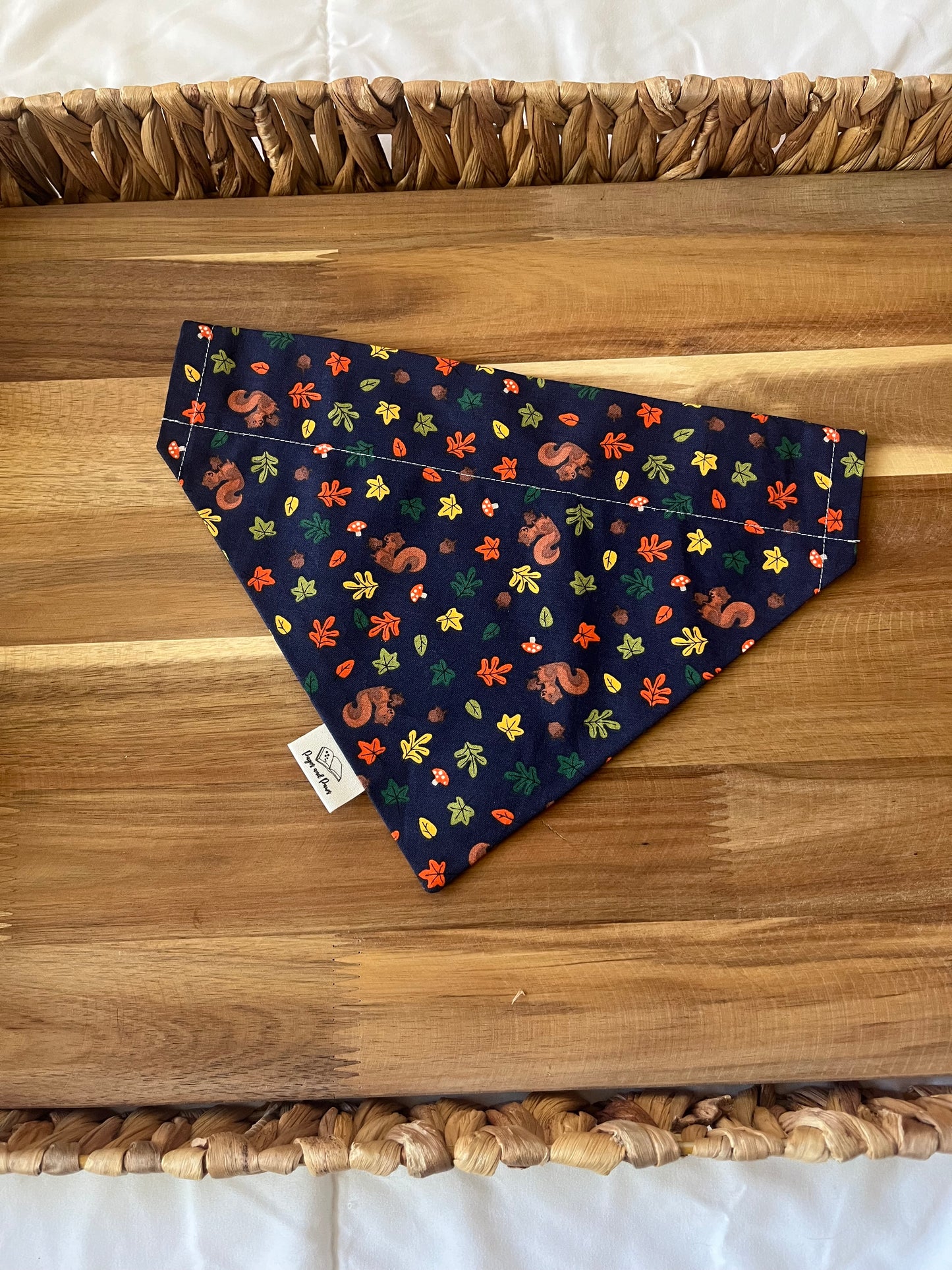 SQUIRREL! Over the Collar Pet Bandana