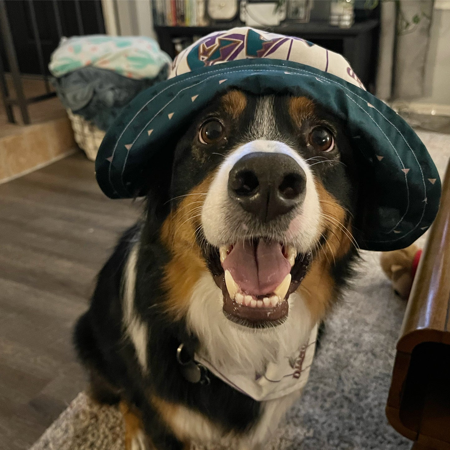 Classic Diamondbacks on White Over the Collar Pet Bandana