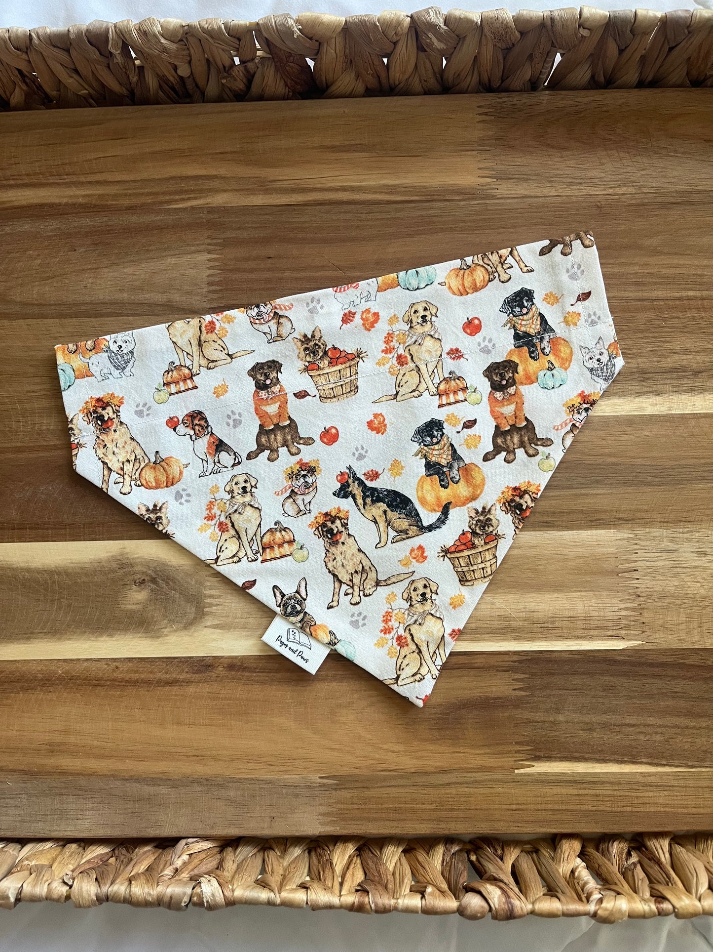 Fallin' for Pups Over the Collar Pet Bandana